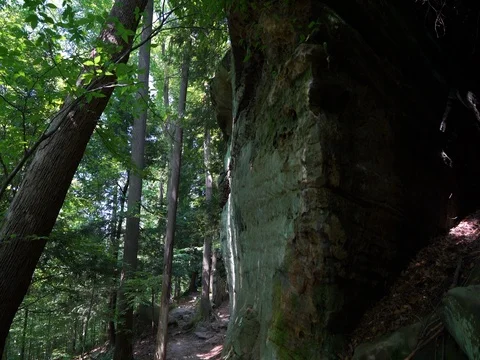 Slow pan up towards large rock formation in Cuyahoga Valley Forest Stock Footage 82653897