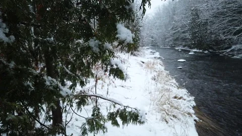 Slow Pan Of Tree Reveals Winter Snow Covered Shoreline Mountain River In Forest Stock Footage 162223291