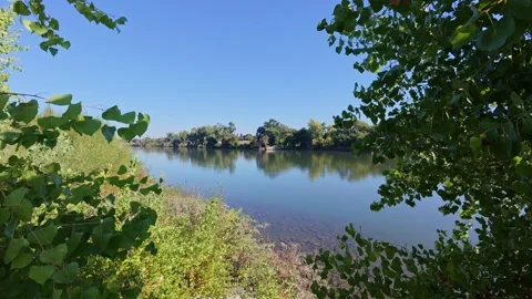 Slow pan view between trees of Sacramento river waterway Stock Footage 318482881