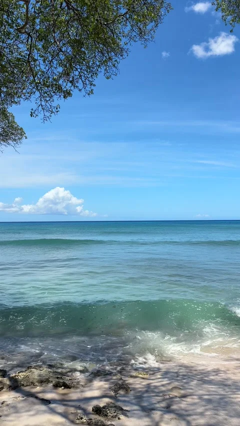 Slow pan of waves rolling onto rocky Caribbean shoreline Stock-Footage 335894961