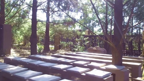 Slow pan of a Wedding Aisle in the middle of the Forest.Mid afternoon with the Stock Footage 93520970