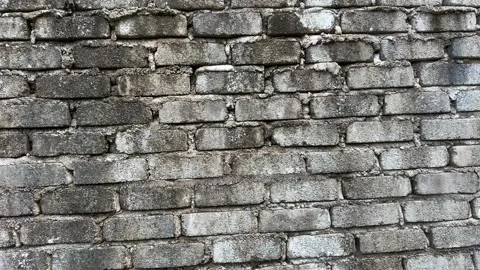 Slow Panning Brick Wall Texture Video Stock Footage 329011643