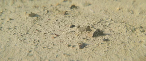 Slow panning on layers of open mine pyrite 4K scope video Stock Footage 315085096