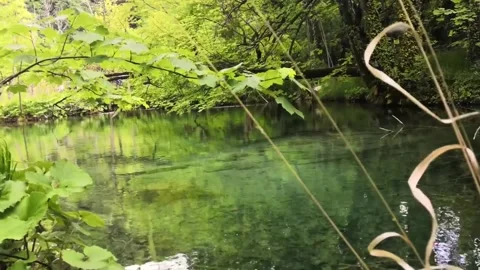 Slow panning motion of a small tranquil green lake in the plitvice lakes nati Stock Footage 131869016