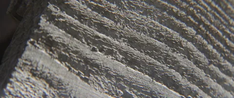 Slow panning on old plant surface 5.7K scope video Stock Footage 309682478