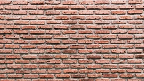 Slow Panning Shot of Brick Wall From Top to Bottom Stock Footage 101384383