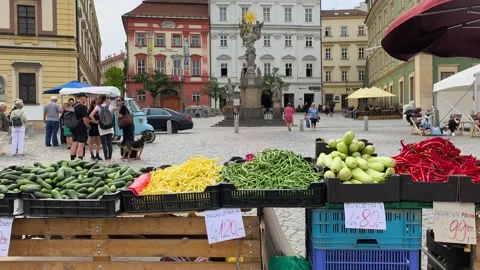 Slow panning shot of fresh vegetables at Zelný trh market in Brno. 库存影片 343635403