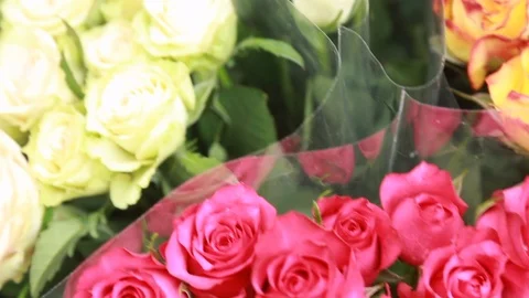 Slow panning shot of multi coloured roses for sale on flower stand in day time Stock Footage 98723147