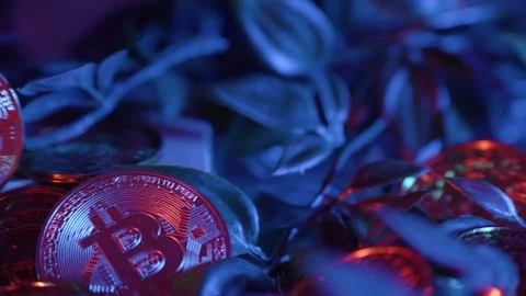Slow panning shot of multiple golden bitcoins stacked under lighting Stock Footage 287288322