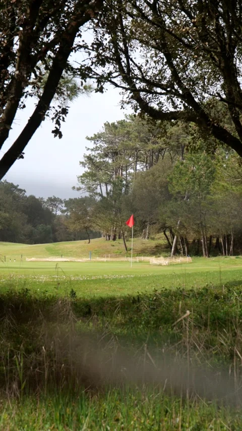 Slow panning shot of red flag on green of golf course between trees in summer Видео 239013466