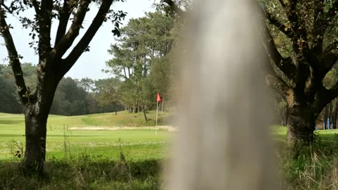 Slow panning vertical shot of red flag on green of golf course between trees in 動画素材 239013666