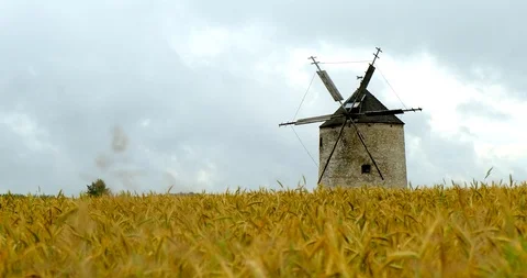 Slow panning video of Old Windmill in a field of wheat. Stock Footage 124614740