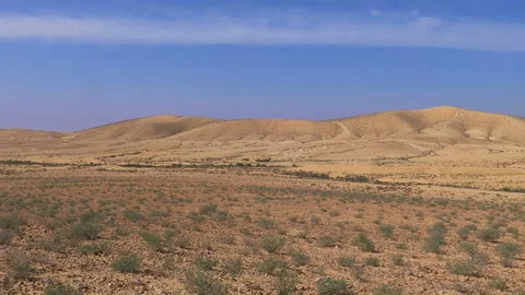 Slow panoramic of desert at winter Stock Footage 94373251