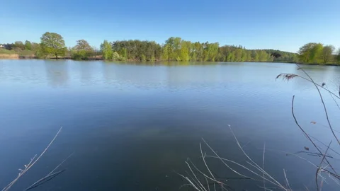 Slow panoramic view of a peaceful fish pond on a sunny spring day Stock Footage 339650426