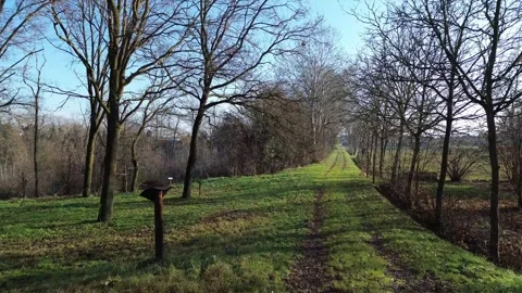 Slow passage between the trees Vidéo 295628897