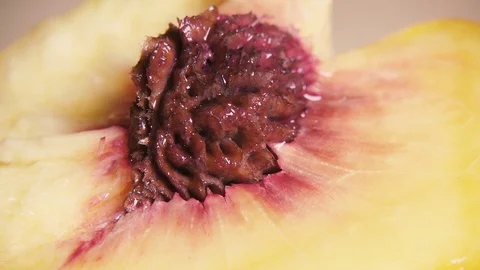 Slow peach bone in the pulp close-up Stock Footage 94380557