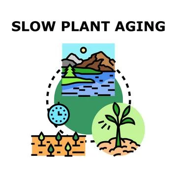 Slow plant aging preventing process concept vector art Stock Illustration
