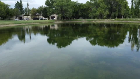 Slow pond flyover Stock Footage 318198214