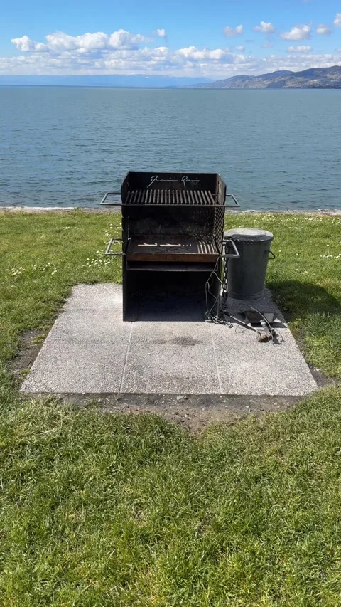 Slow pull back from BBQ grill revealing lake outdoor scene Stockbeeldmateriaal 331946248