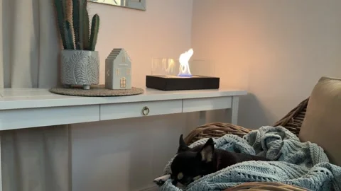 Slow pull back from bioethanol fireplace revealing sleeping dog on chair 4K Stock Footage 345754651