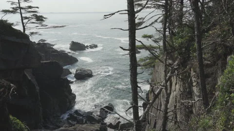 Slow Pull Back on a Coastal Cove with Waves Crashing Vídeo Stock 164689311