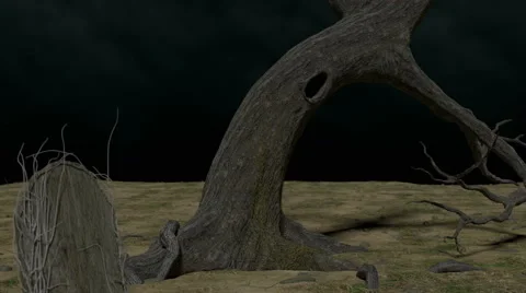 A slow pull back from an old dead tree and tombstone. Stock Footage 41221698