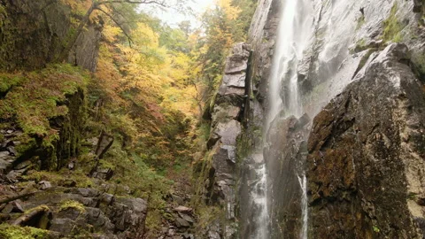 Slow Pull-Back from Waterfall - Autumn Aerial Drone Shot 動画素材 141351672