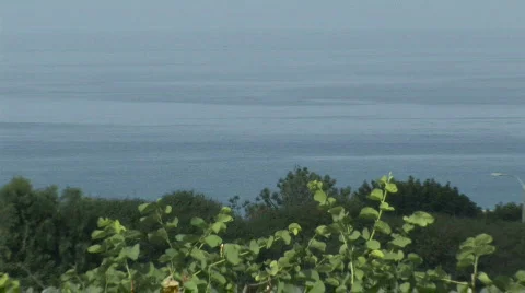 Slow Pull from the Ocean Past a Golf Course Stock Footage 790168