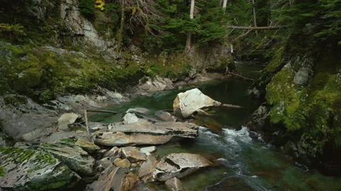 A slow pullback over a forest creek in northwestern BC Stock Footage 220932957