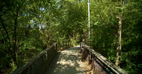 Slow Push Across Pedestrian Bridge Above River Onto Sunny Forest Trail DCI 4K Stock Footage 202333007
