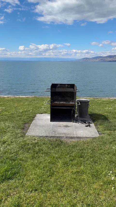 Slow push in to BBQ grill by lake outdoor lifestyle vertical Stockbeeldmateriaal 331945745