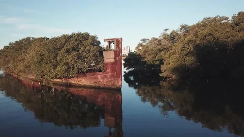 Slow push in fly over shipwreck ss ayrfield parramatta river homebush Video stock 131829921