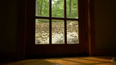 Slow push on the interior of a cabin door looking out into the forest. Stock Footage