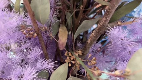 Slow Push In on Lilac and Sage Green Flower Bouquet Stock Footage 333153596