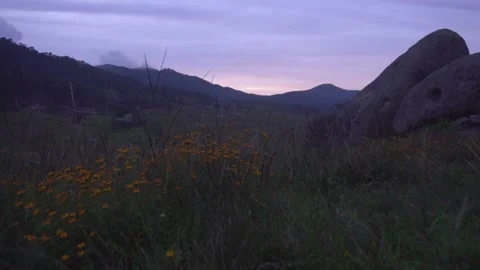 Slow push-in over a flower field with mountains &amp; sunset on the back Stock Footage 157499025