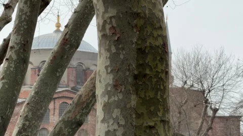 Slow push in shot framing the Aya Sofya and a stone minaret behind textured Stock Footage 340154854