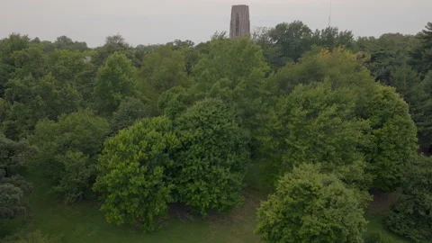 Slow push towards a tower in the trees 스톡 동영상 294667842