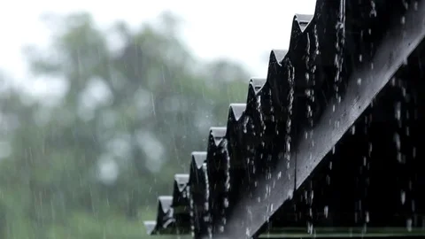 Slow rain Stock Footage 77988099