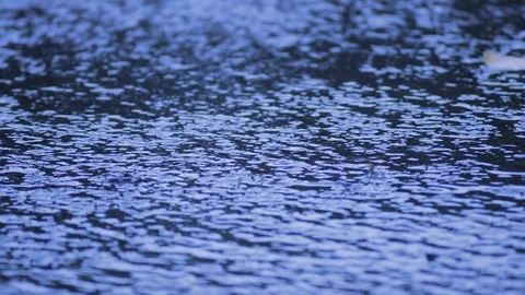 Slow Rain On Road Stock Footage 92743381