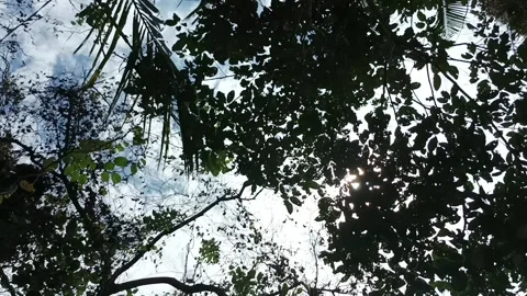 Slow ranting Stock Footage 234716798