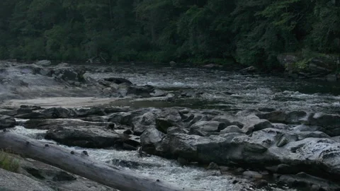 Slow rear track of rapids in a forested mountain river Video stock 248554635