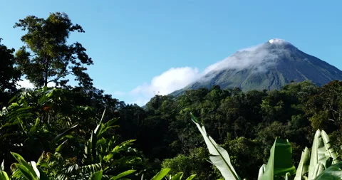 Slow reveal of volcano with plants and trees in the foreground. Arenal volcano. Stock Footage