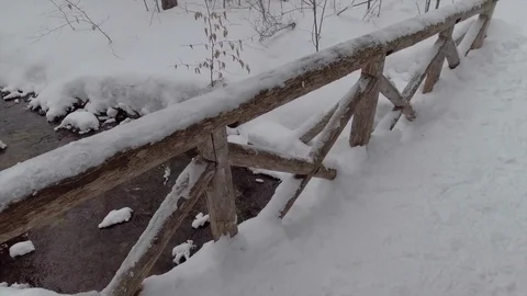 Slow reveal of the winter forest covered in snow and small creek Stockbeeldmateriaal 73975261