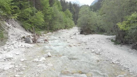 Slow reverse aerial of a fast flowing mountain creek between beautiful pines Vídeo Stock 195962257