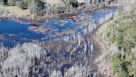 Slow reverse flight over A pond Video stock 290473240