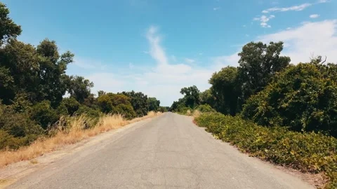Slow ride down levee road Stock Footage 282320595