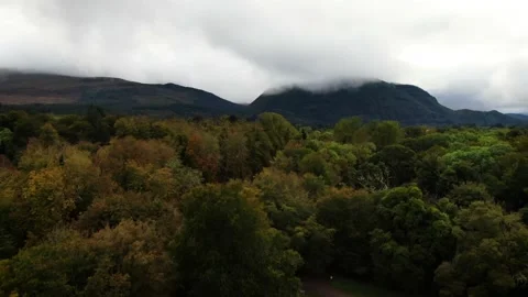 A slow rising shot of Killarney forest and mountains. Stock Footage 163451661