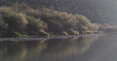 Slow River in Early Spring with Soft Morning Light, Cinematic Landscape Shot, 7K Stockbeeldmateriaal 333274840