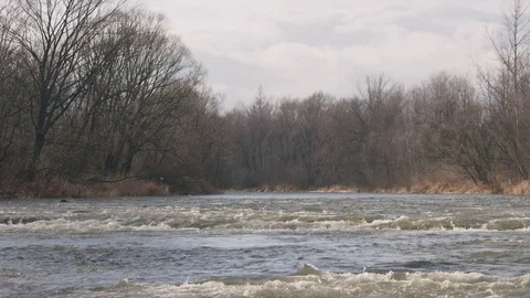 Slow river in the fall in Europe tilt up Stock Footage 83874655