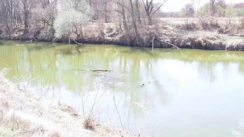 Slow river flow in spring. Video full hd. Stock Footage 108575015